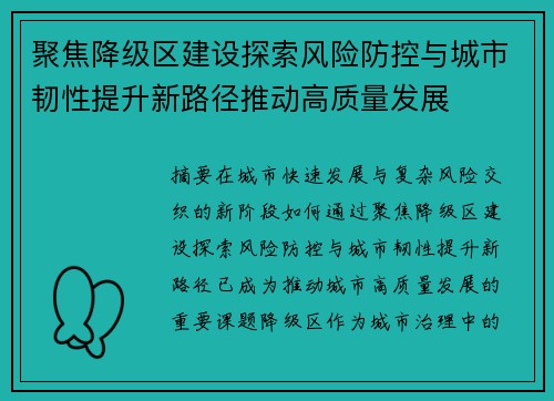 聚焦降级区建设探索风险防控与城市韧性提升新路径推动高质量发展